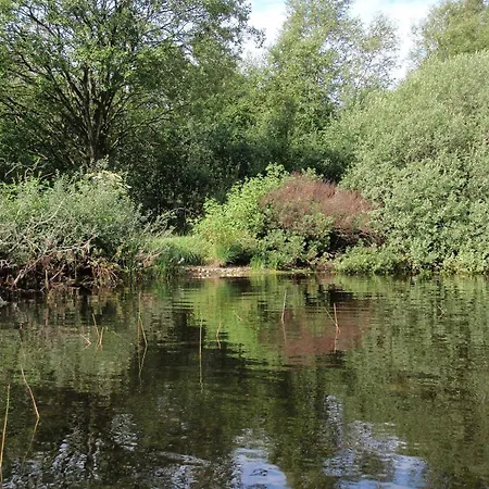 Сasa de vacaciones 5 Star In