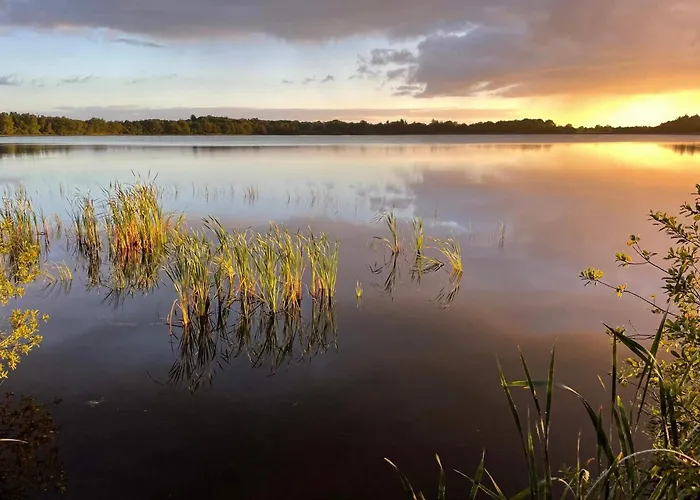 5 Star In Holiday home Ansager